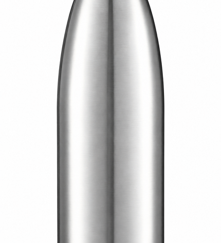 A brushed stainless steel water bottle with a ribbed screw cap, shown against a plain white background.